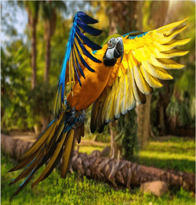 3D Forest Flying Bird 1145 Curtains Drapes Wallpaper AJ Wallpaper 