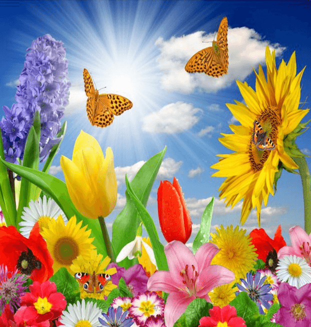 3D Bright Flowers And Sky 1135 Curtains Drapes Wallpaper AJ Wallpaper 