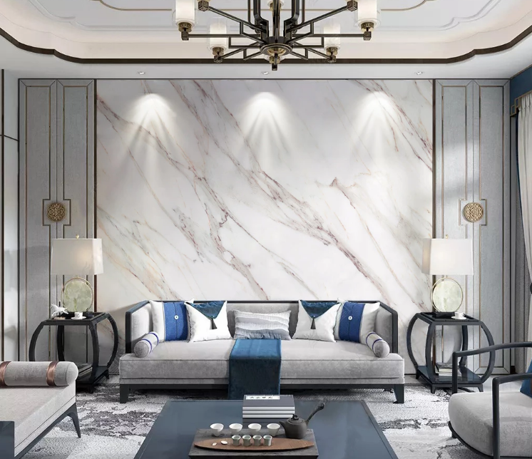 3D Line Drawing WC2239 Wall Murals