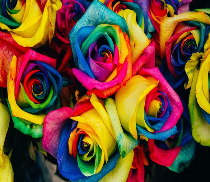 3D Colorful Painting Rose 567 Wallpaper AJ Wallpaper 