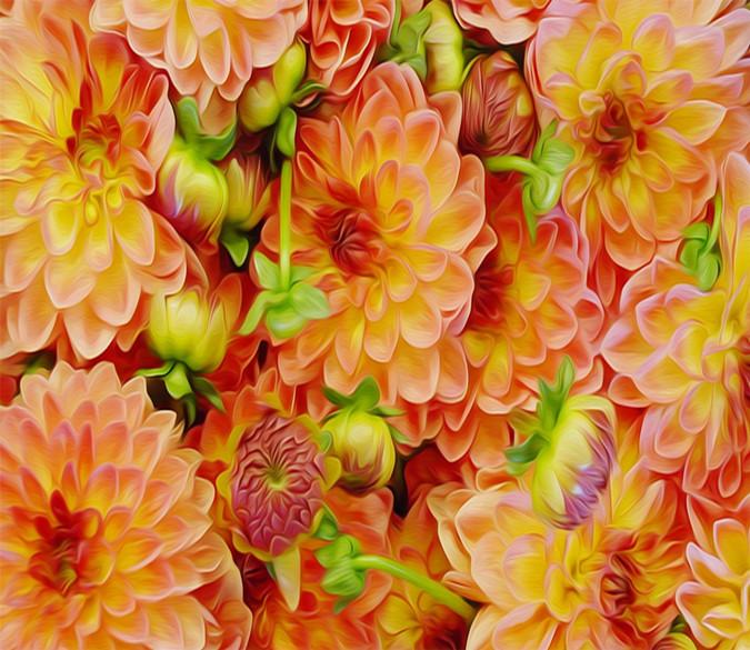 3D Color Louts Flowers 029 Wallpaper AJ Wallpaper 