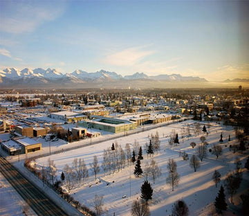 3D Snow City Pines 8 Wallpaper AJ Wallpaper 