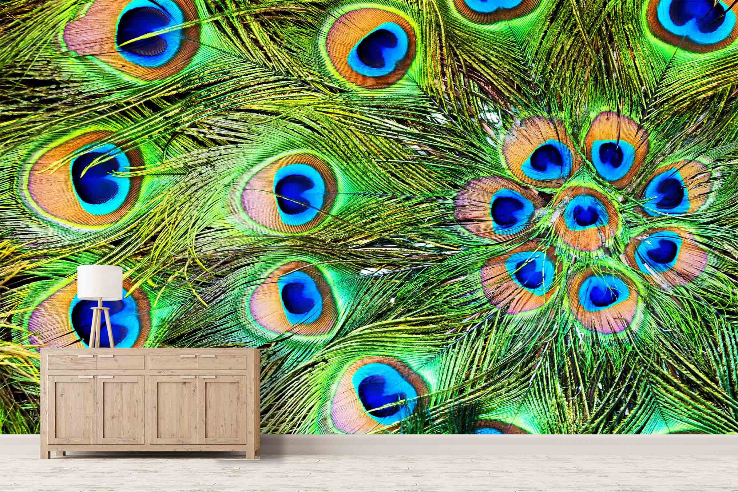 3D Peacock Feather 0090 Wall Murals