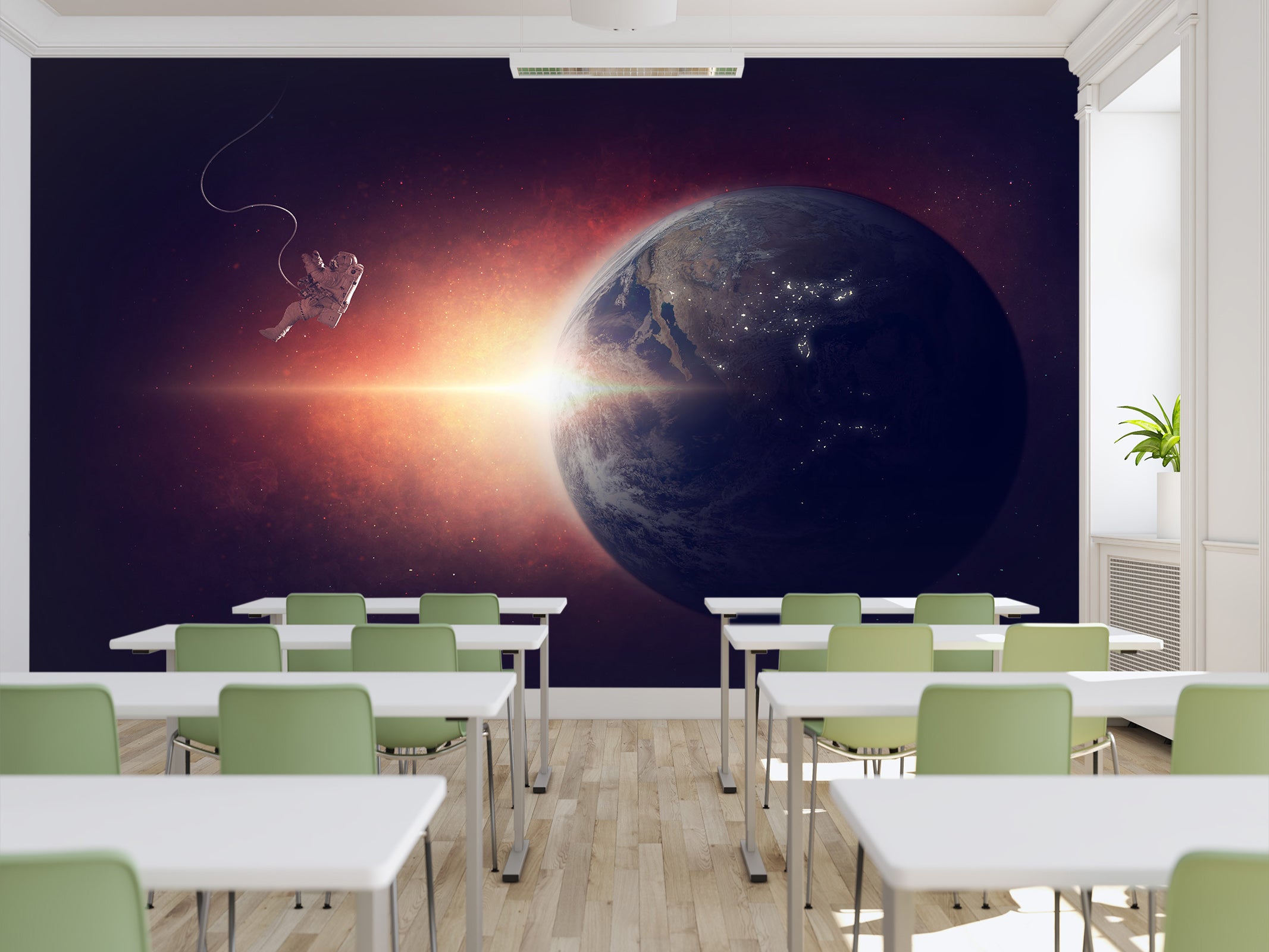 3D Astronaut Earth 134 Wall Murals