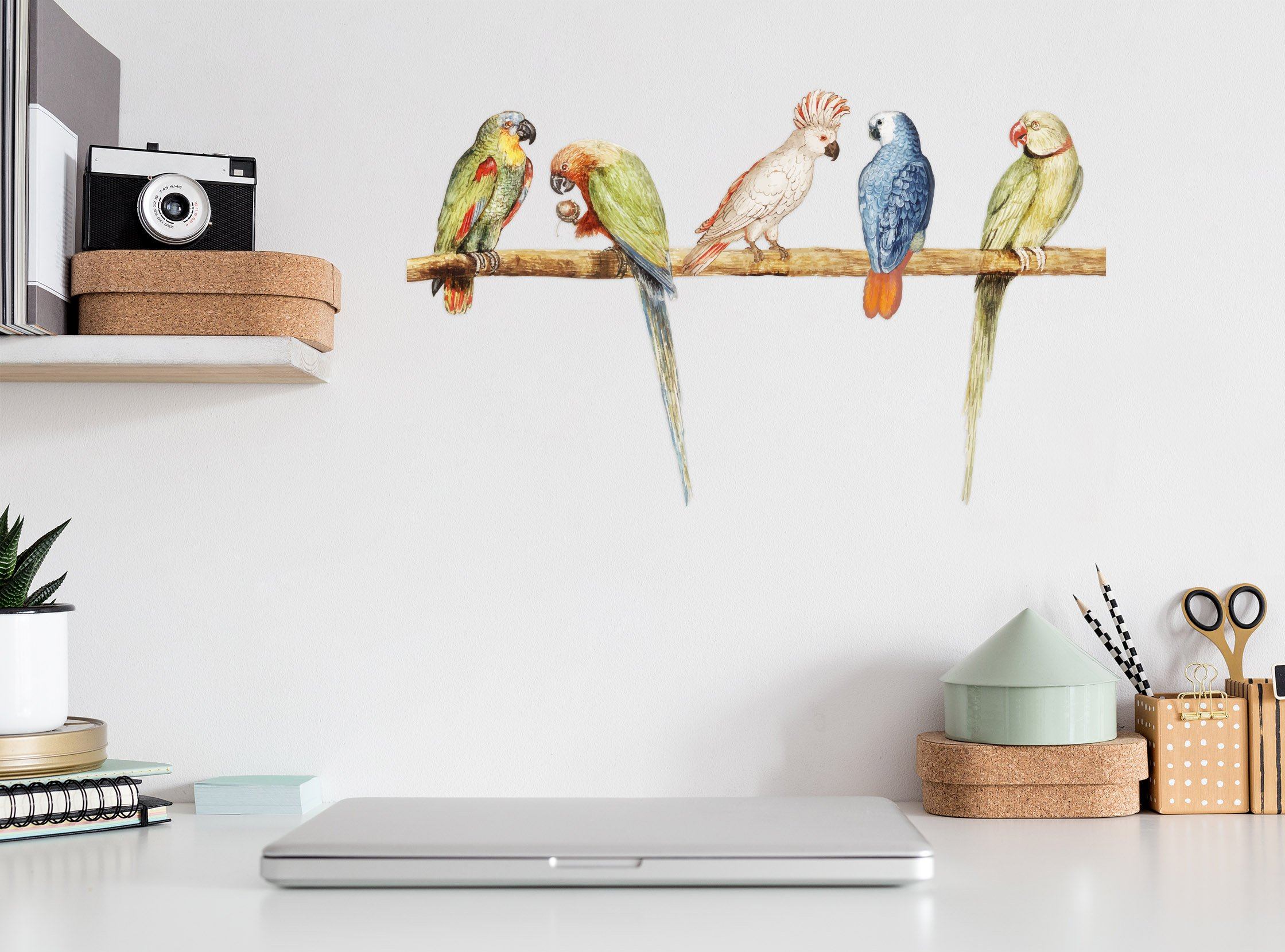 3D Parrot 069 Animals Wall Stickers Wallpaper AJ Wallpaper 