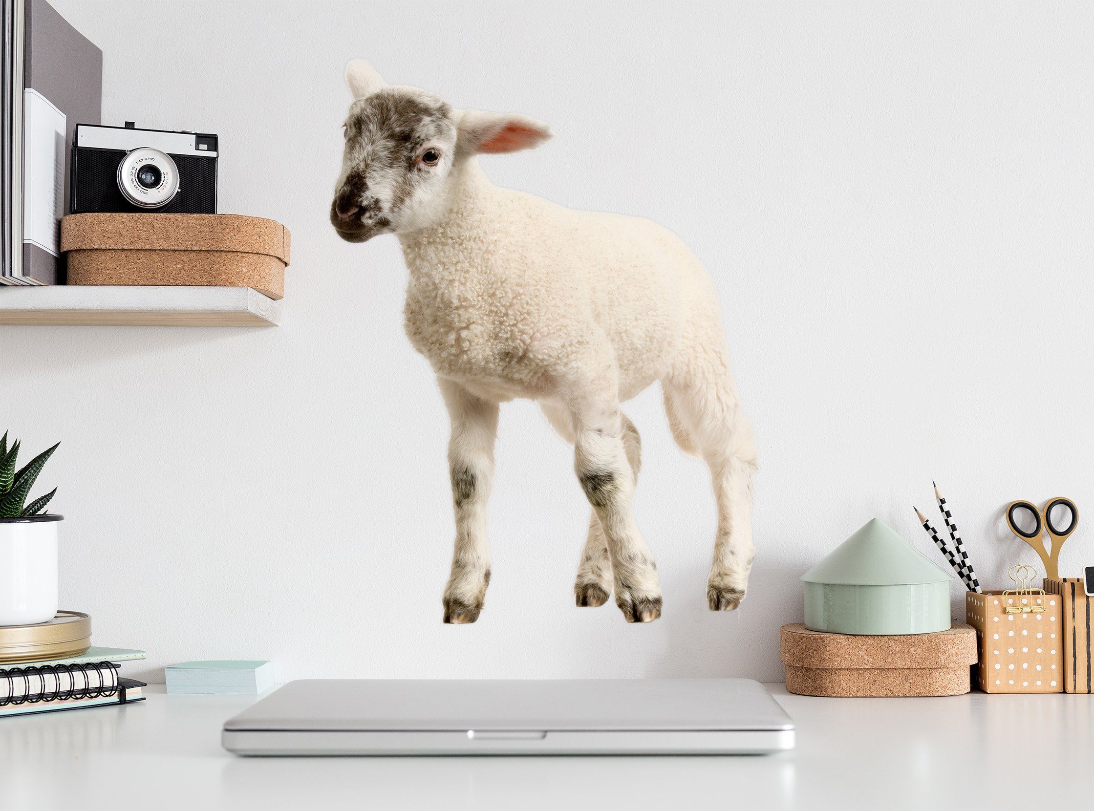 3D Black and white head sheep 009 Animals Wall Stickers Wallpaper AJ Wallpaper 