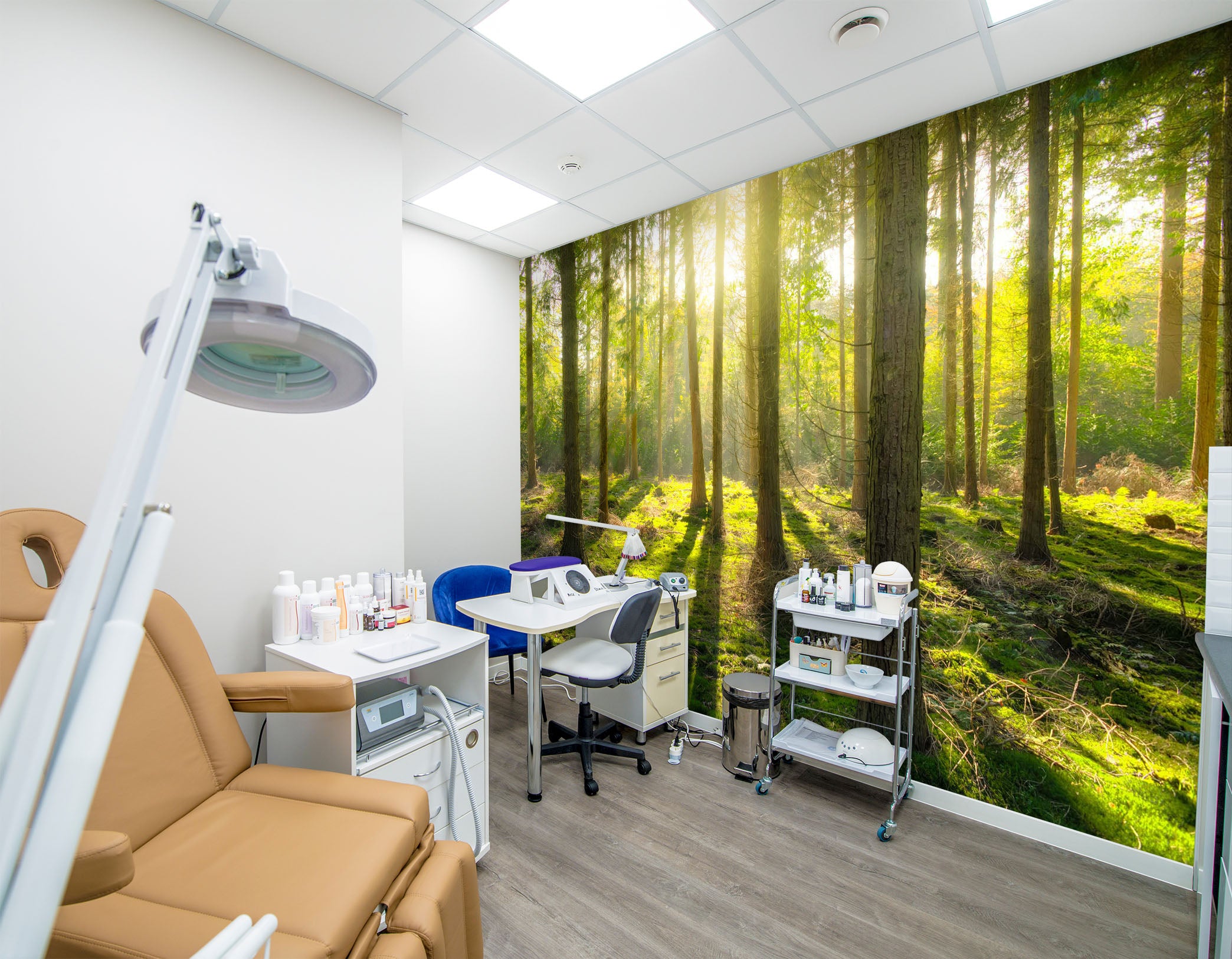 3D Woods Shadow Sunlight 319 Wall Murals