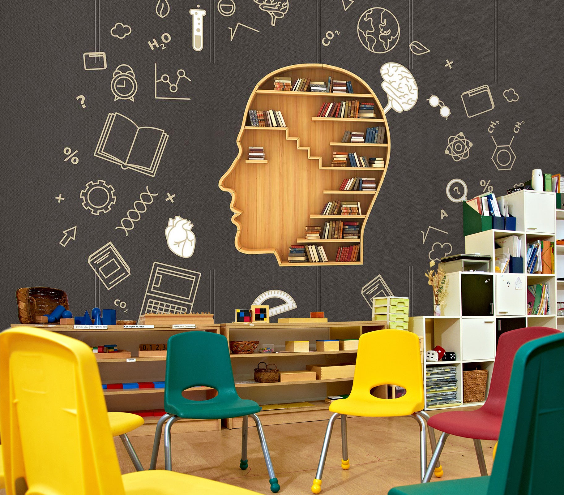 3D Head Bookcase 144 Wall Murals