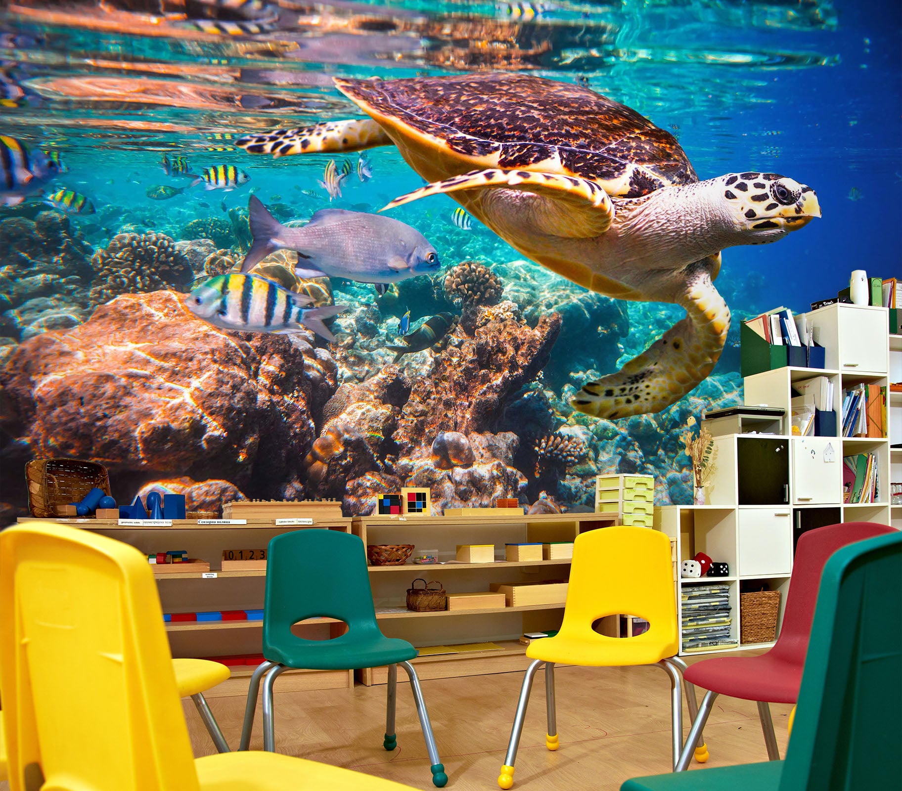 3D Turtle Stone 150 Wall Murals