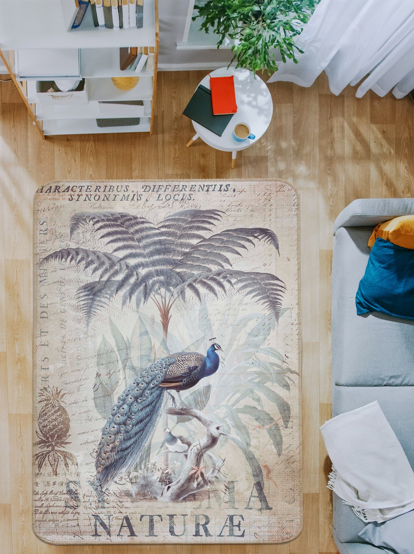 3D Cute Peacock 1029 Andrea haase Rug Non Slip Rug Mat Mat AJ Creativity Home 