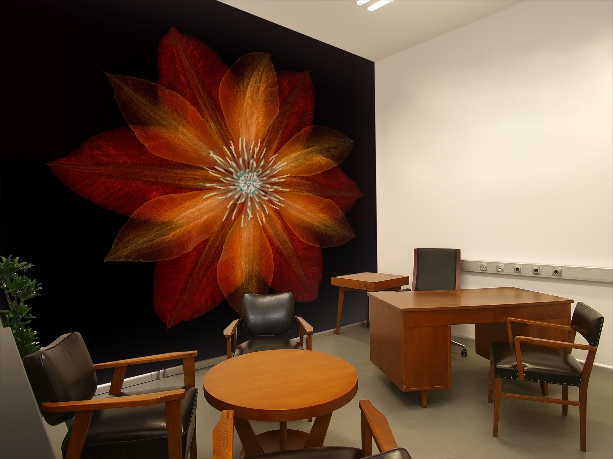 3D Flame Petals 1413 Assaf Frank Wall Mural Wall Murals Wallpaper AJ Wallpaper 2 