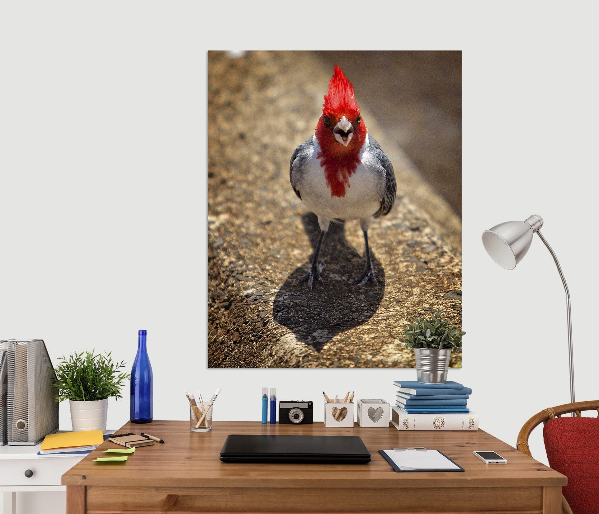 3D Sassy Cardinal 043 Kathy Barefield Wall Sticker Wallpaper AJ Wallpaper 2 
