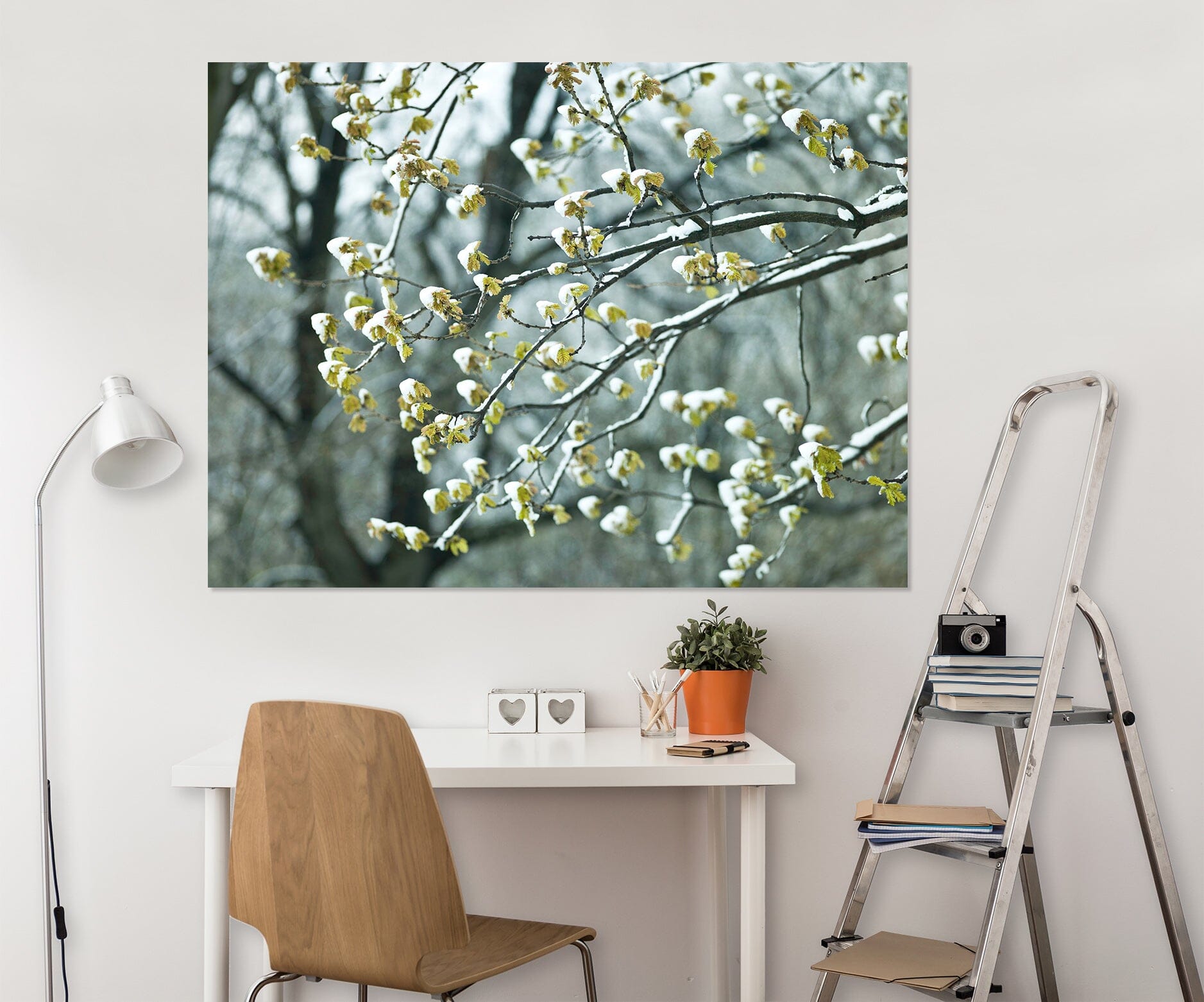 3D White Flower Bud 014 Assaf Frank Wall Sticker Wallpaper AJ Wallpaper 2 
