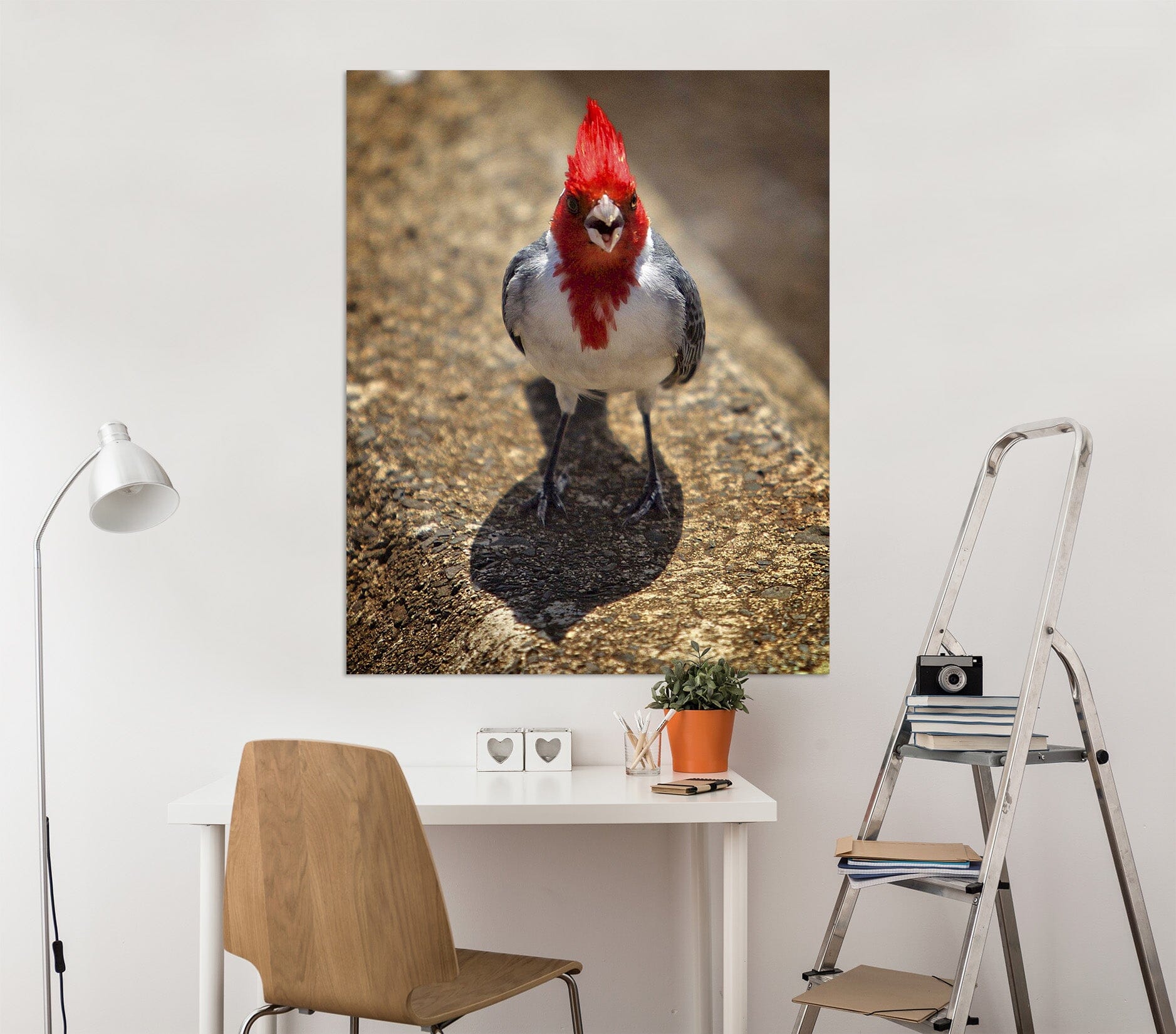 3D Sassy Cardinal 043 Kathy Barefield Wall Sticker Wallpaper AJ Wallpaper 2 