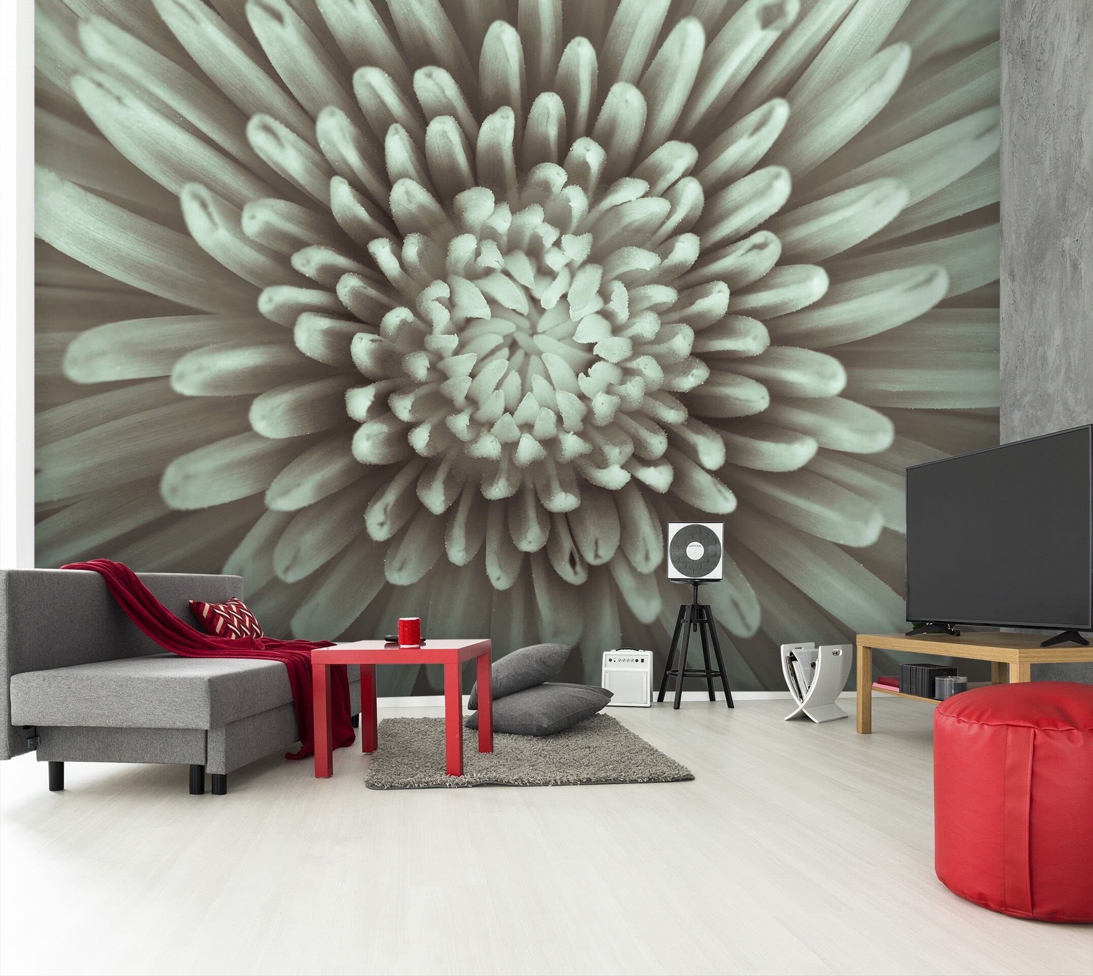 3D White Daisy 1401 Assaf Frank Wall Mural Wall Murals Wallpaper AJ Wallpaper 2 