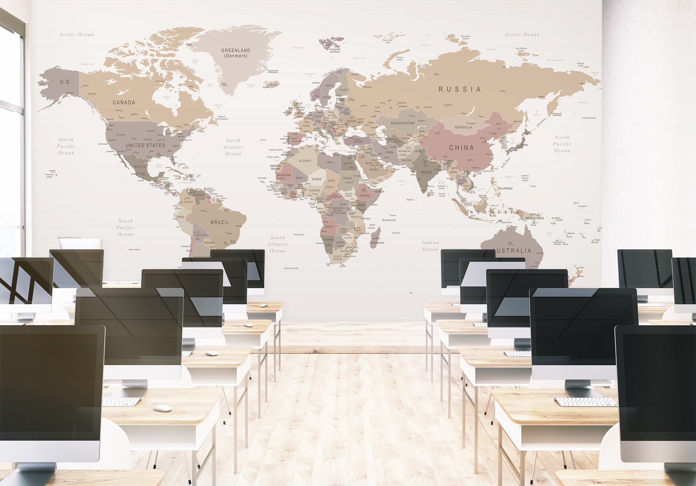 3D Pink World Map 1128 Wall Murals