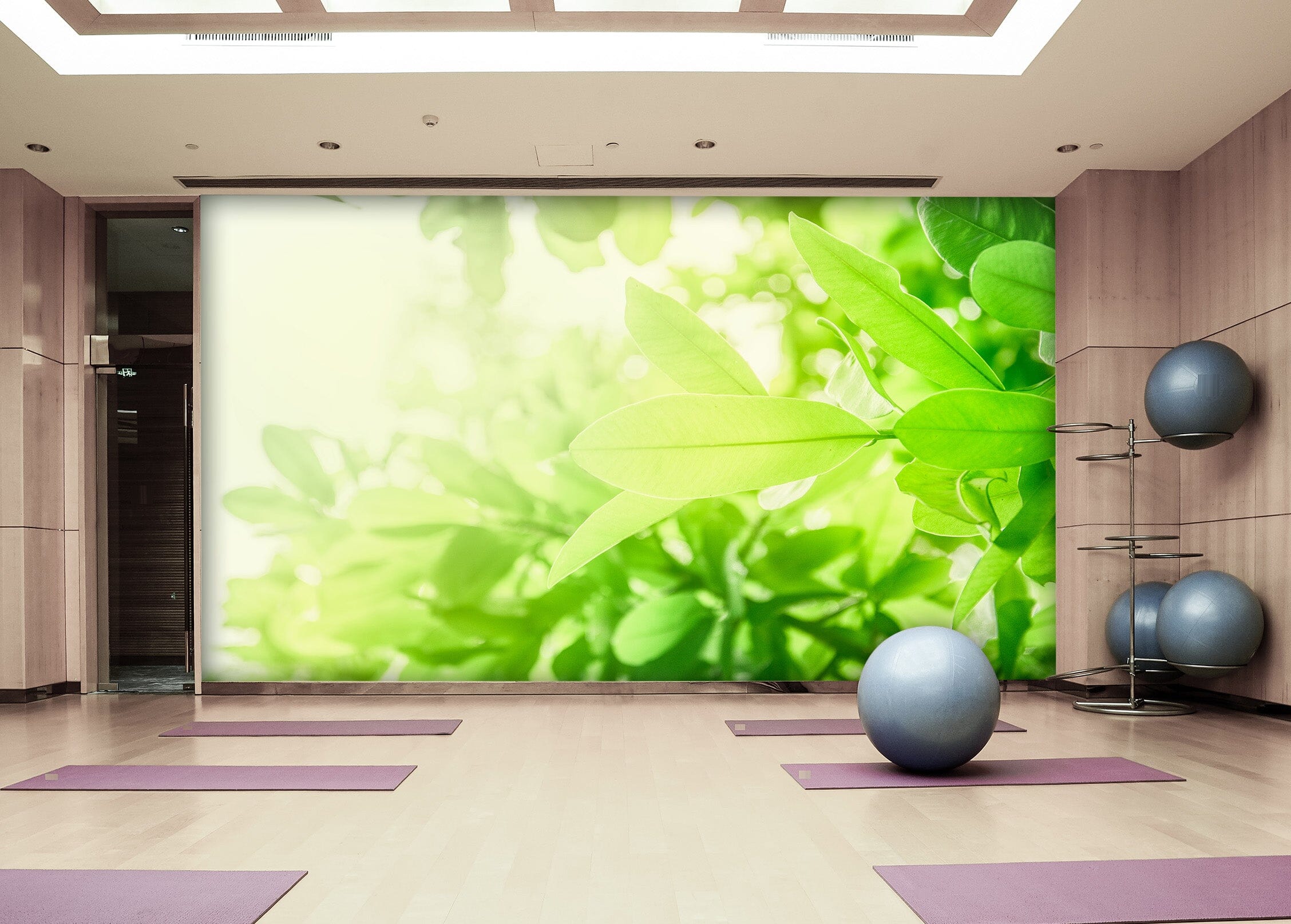 3D Sunny Greenery 313 Wall Murals Wallpaper AJ Wallpaper 2 