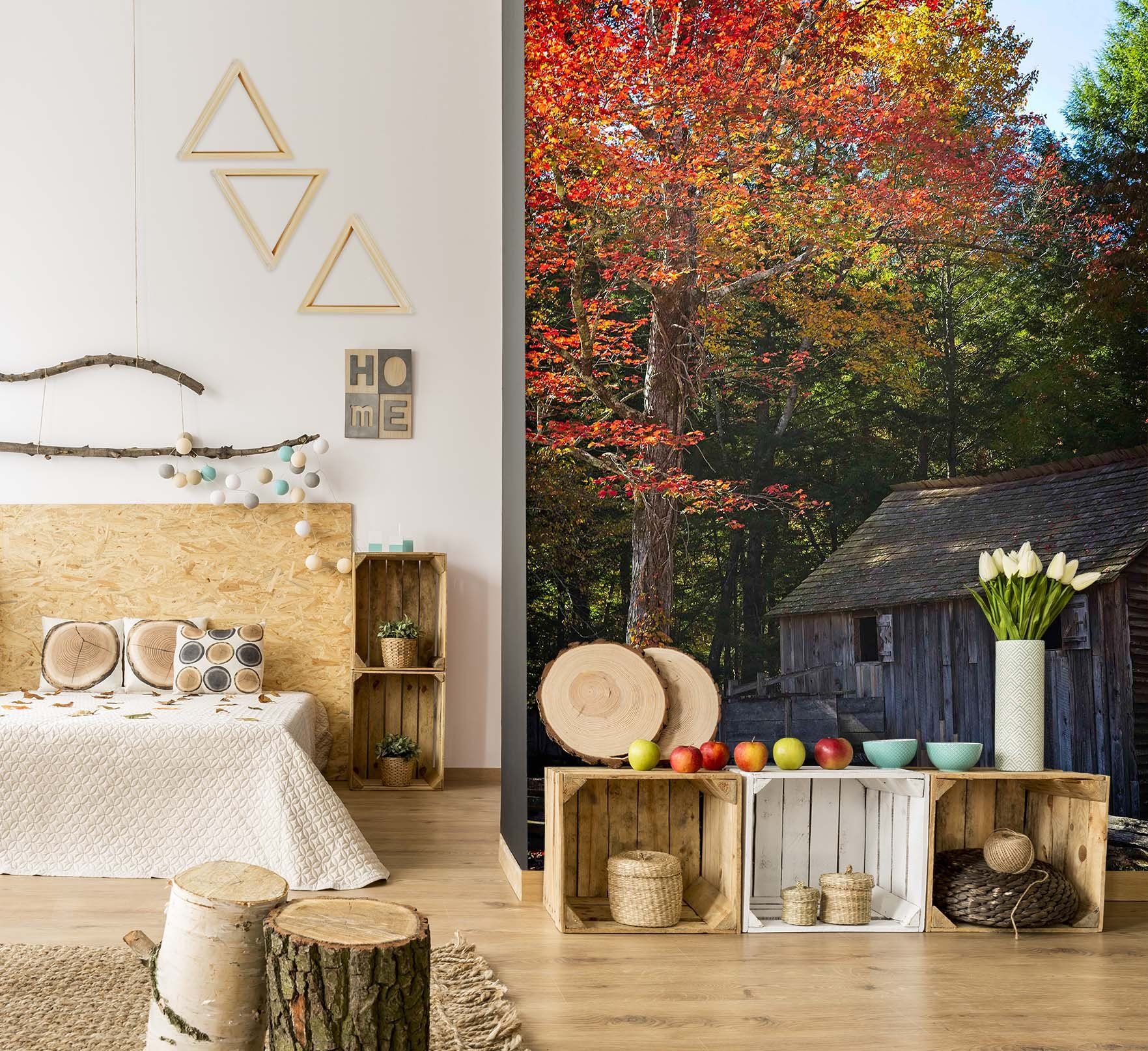 3D Autumn 1399 Kathy Barefield Wall Mural Wall Murals Wallpaper AJ Wallpaper 2 