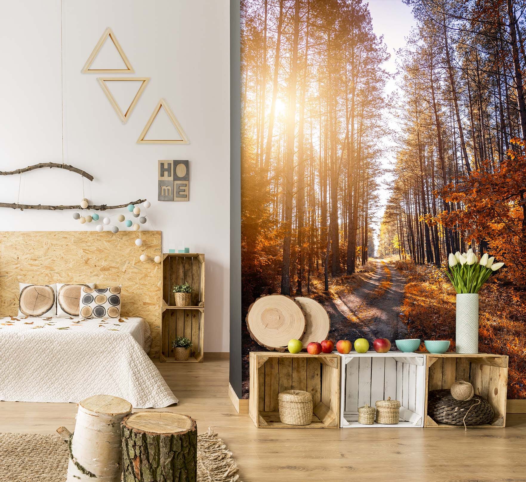 3D Forest Sunlight 2094 Wall Murals Wallpaper AJ Wallpaper 2 