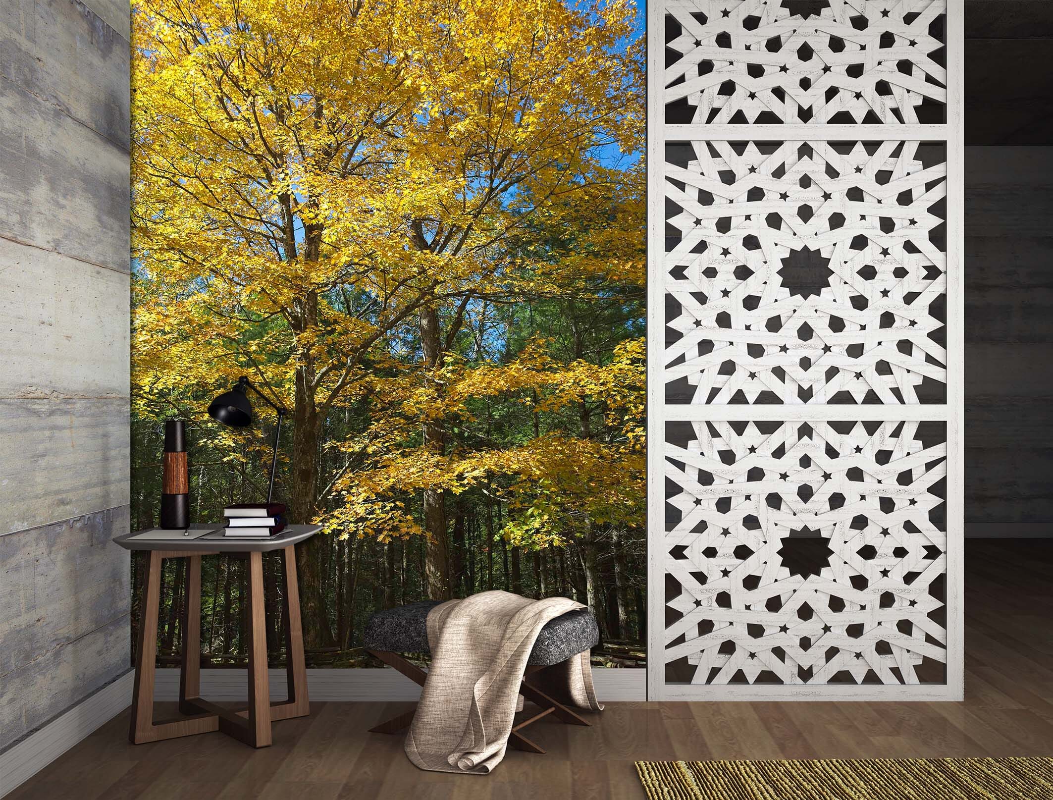 3D Sunny Forest 1401 Kathy Barefield Wall Mural Wall Murals Wallpaper AJ Wallpaper 2 