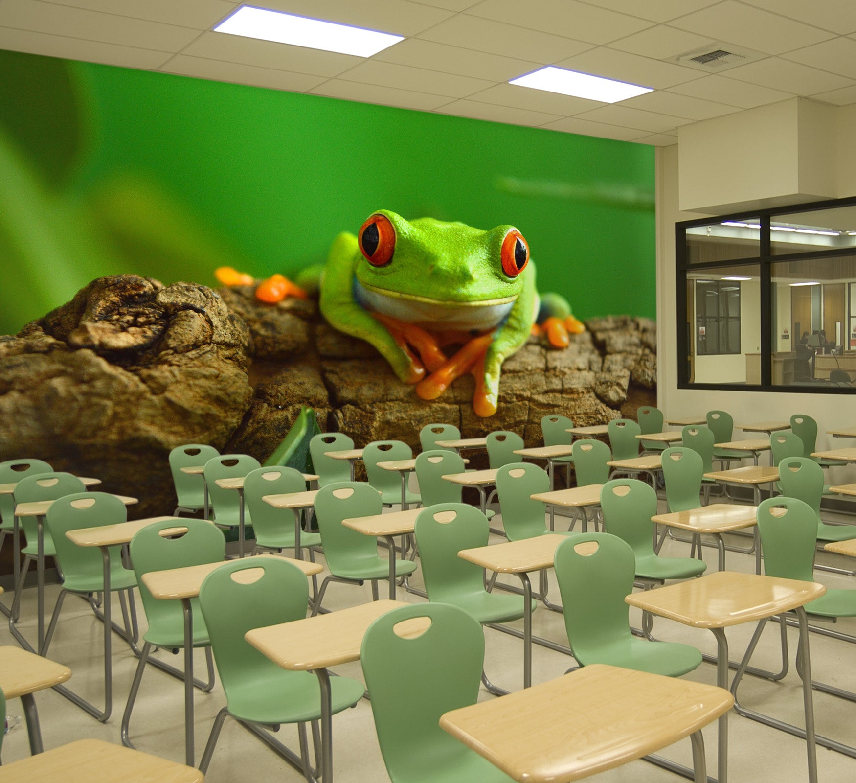 3D Green Frog 152 Wall Murals