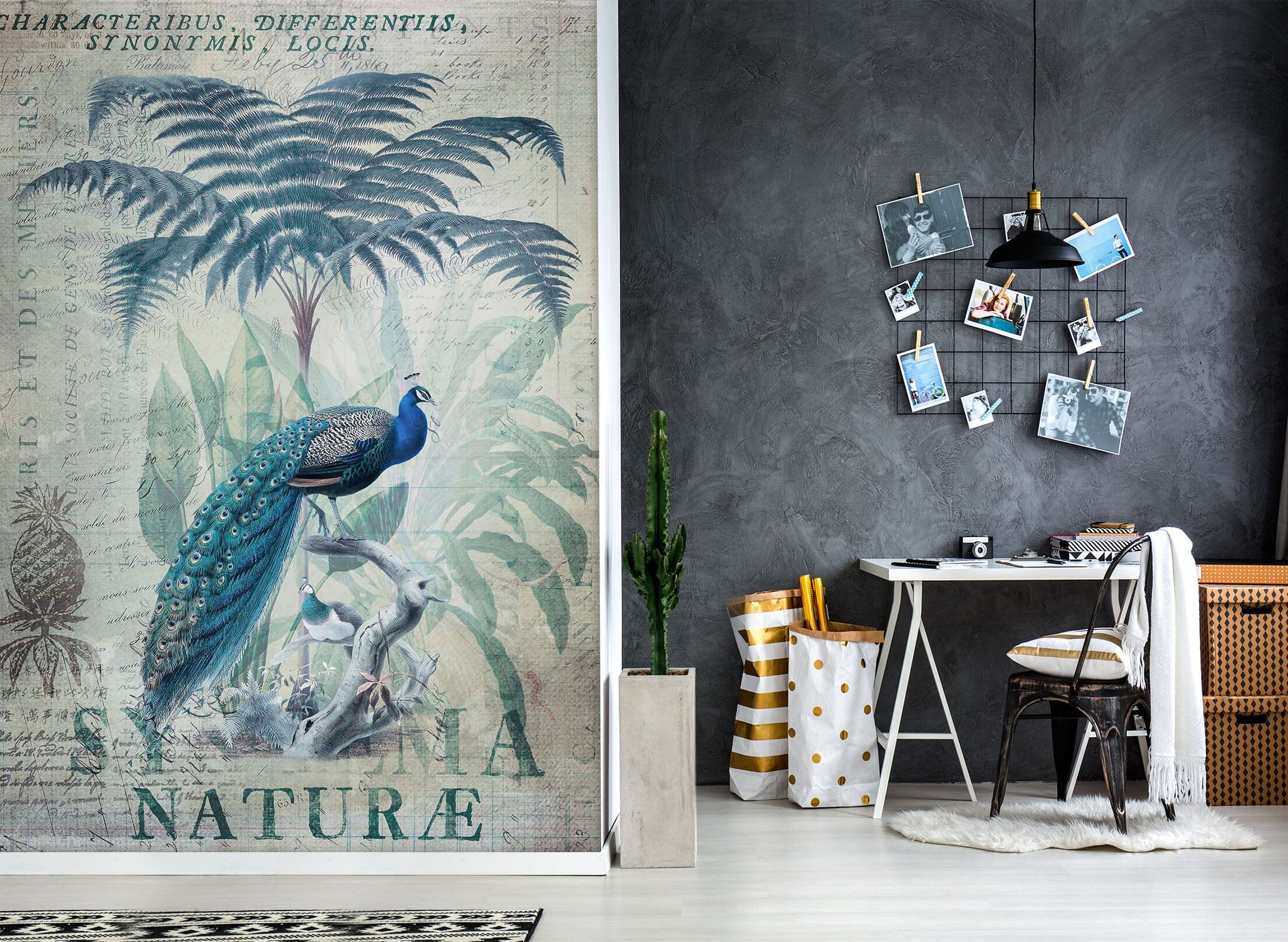 3D Forest Peacock 1027 Andrea haase Wall Mural Wall Murals Wallpaper AJ Wallpaper 2 