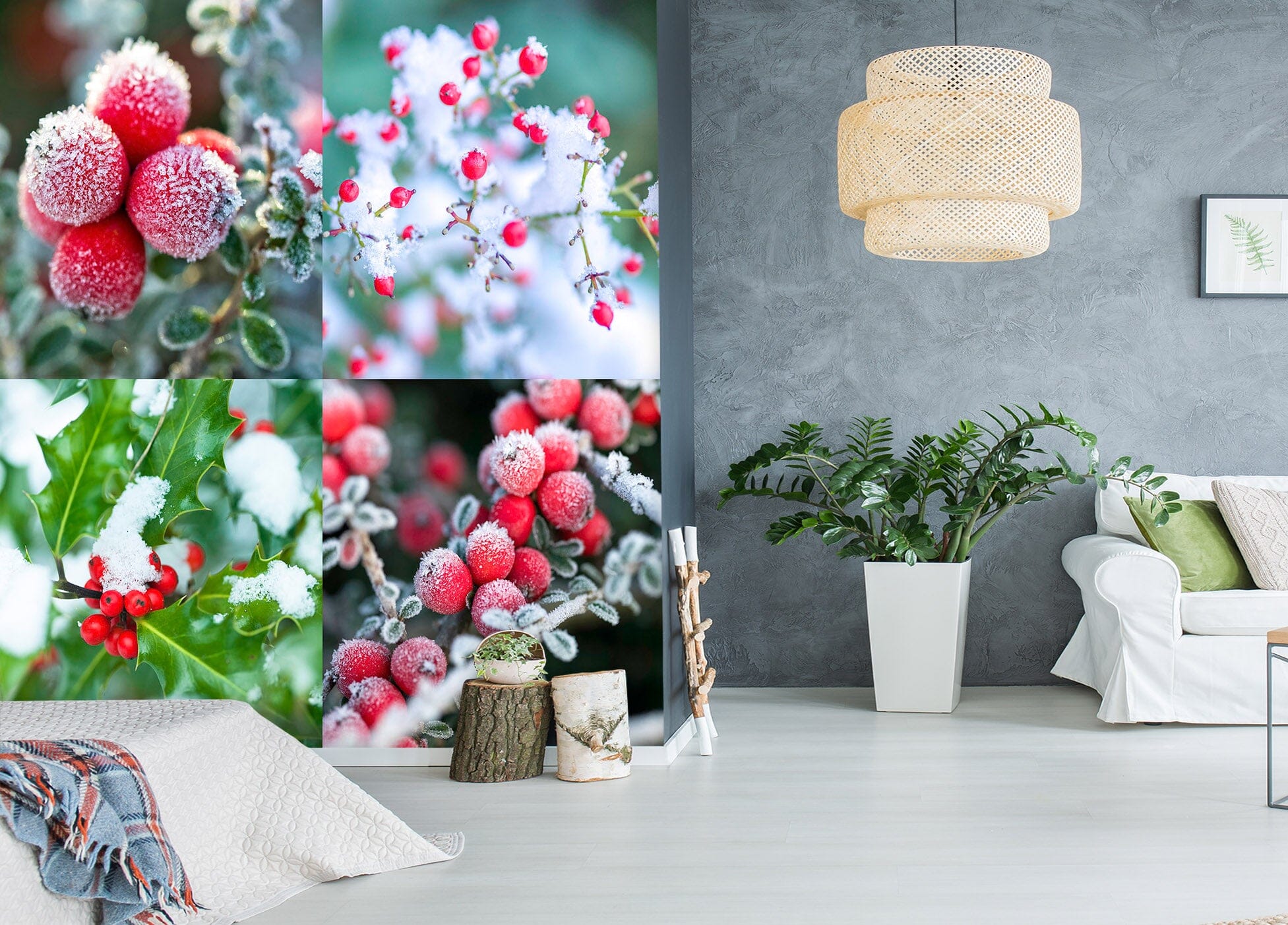 3D Red Fruit 1437 Assaf Frank Wall Mural Wall Murals Wallpaper AJ Wallpaper 2 