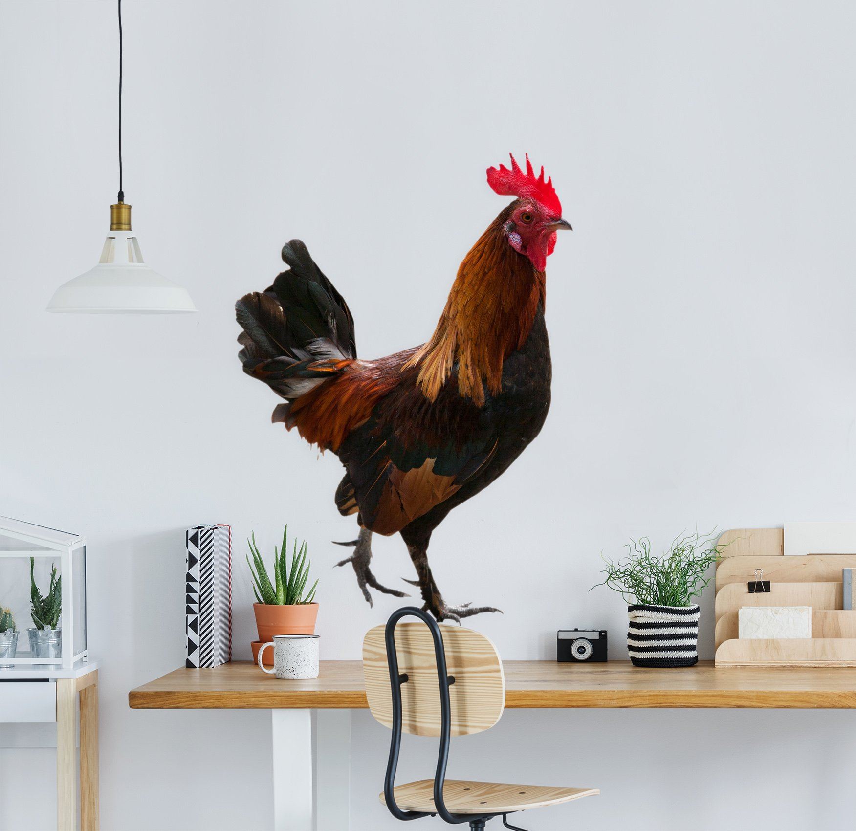 3D Big Cock 192 Animals Wall Stickers Wallpaper AJ Wallpaper 
