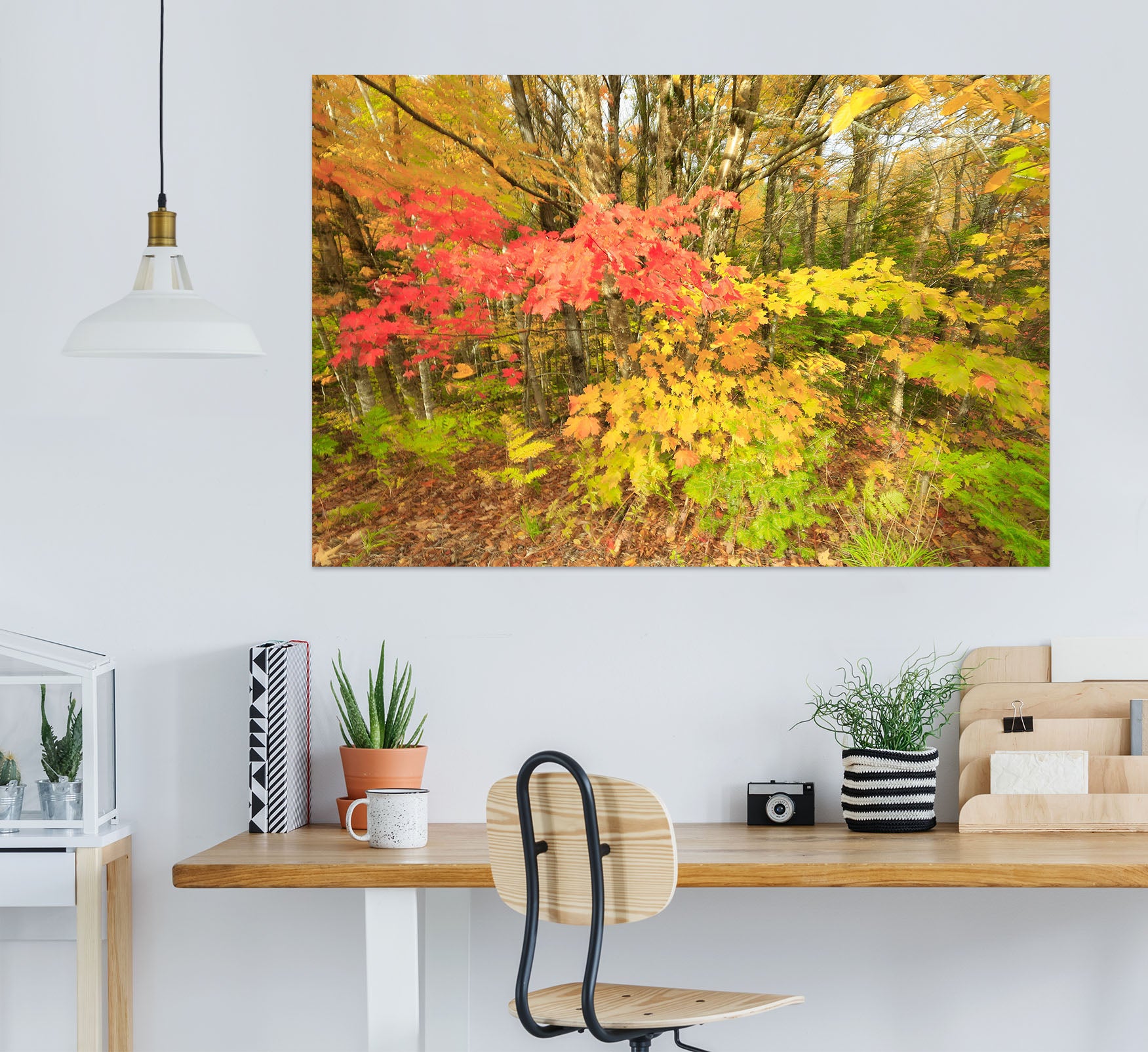 3D Tree Jungle 61182 Kathy Barefield Wall Sticker