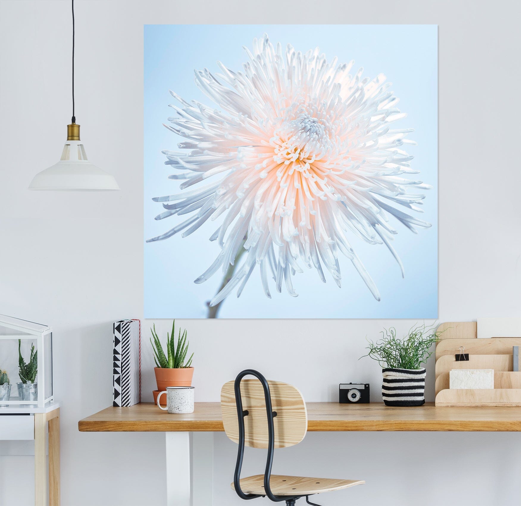 3D White Dandelion 021 Assaf Frank Wall Sticker Wallpaper AJ Wallpaper 2 