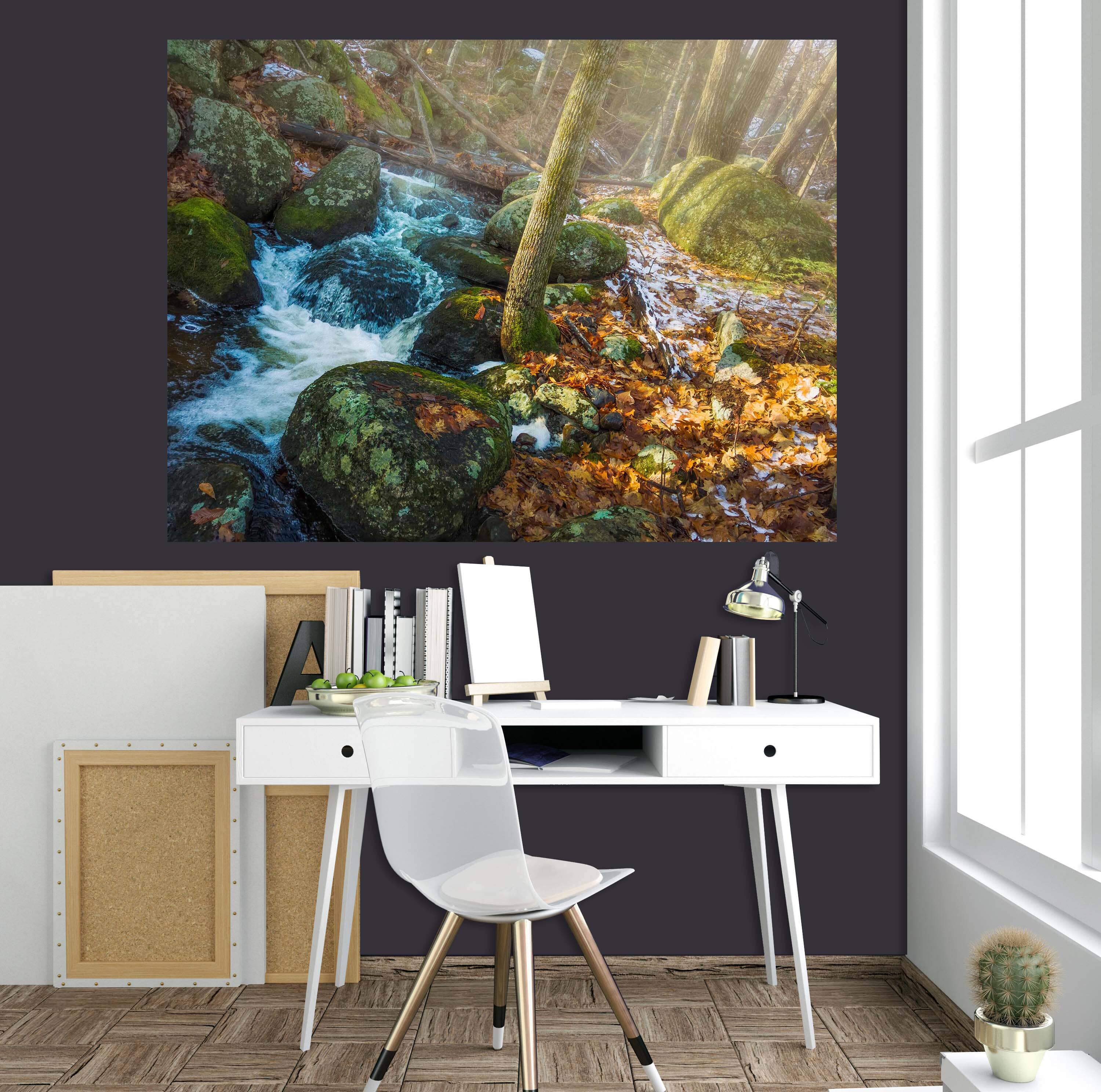 3D Forest Stream 108 Jerry LoFaro Wall Sticker Wallpaper AJ Wallpaper 2 