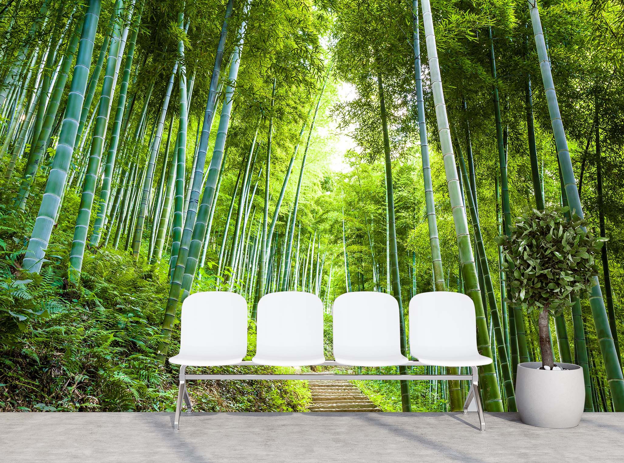 3D Bamboo Forest 309 Wall Murals