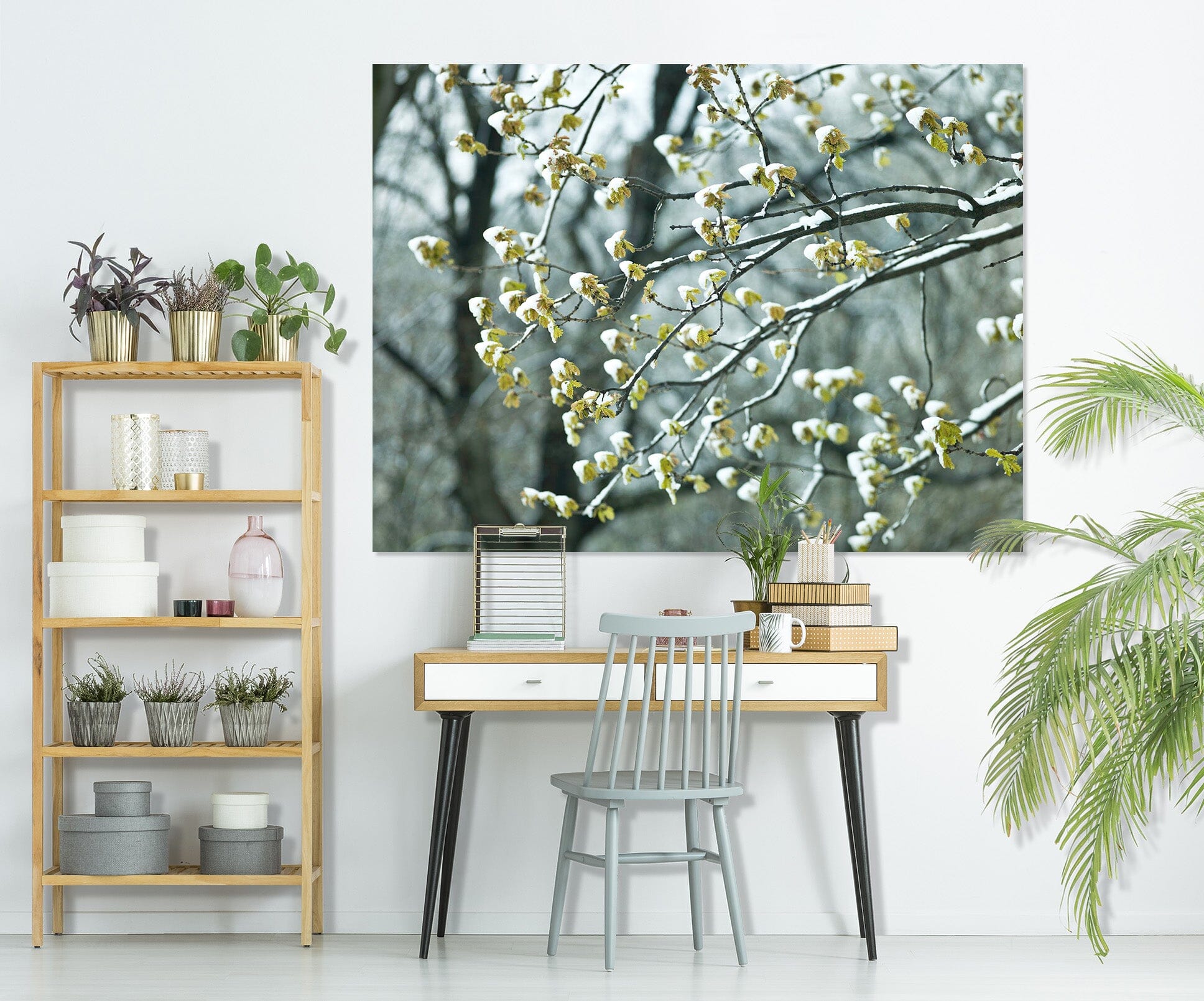 3D White Flower Bud 014 Assaf Frank Wall Sticker Wallpaper AJ Wallpaper 2 