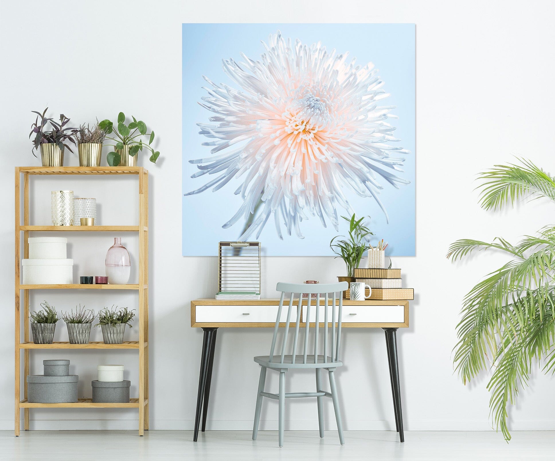 3D White Dandelion 021 Assaf Frank Wall Sticker Wallpaper AJ Wallpaper 2 