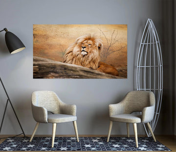 3D Grassland Lion 11 Animal Wall Stickers Wallpaper AJ Wallpaper 2 