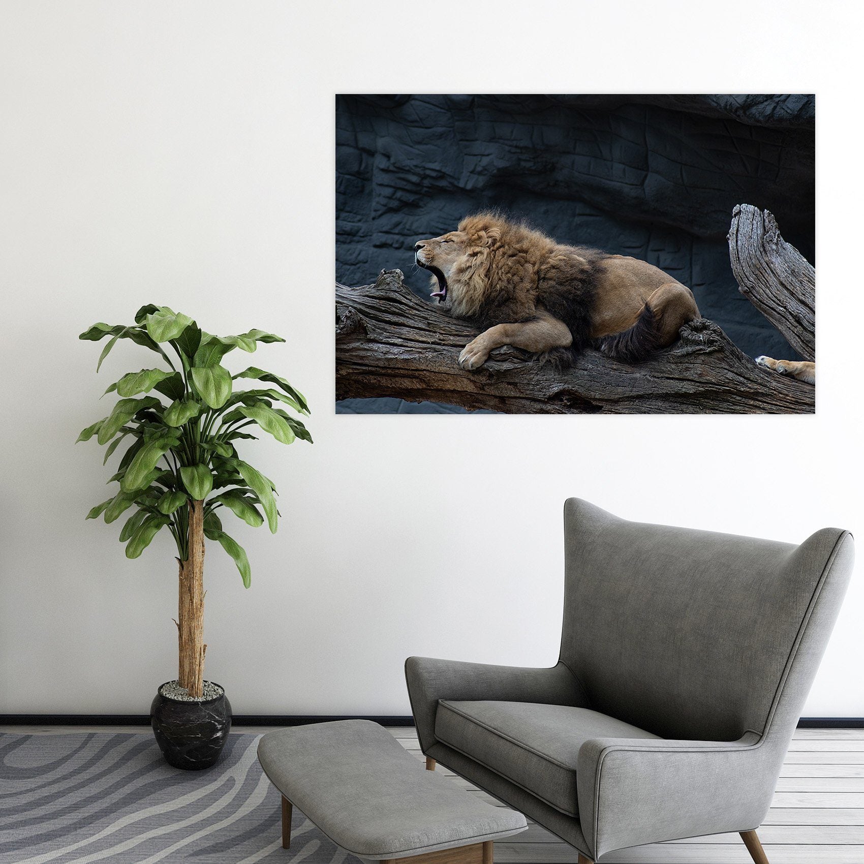 3D Lion Cub 96 Animal Wall Stickers Wallpaper AJ Wallpaper 2 