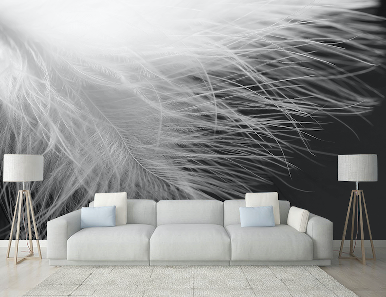 3D White Feather WG291 Wall Murals