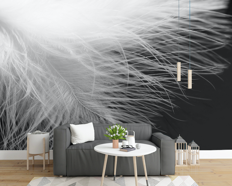 3D White Feather WG291 Wall Murals