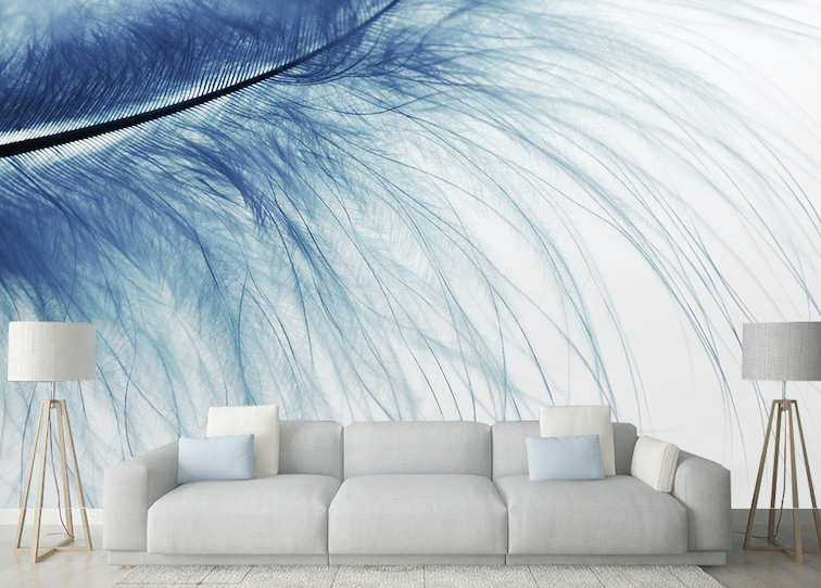 3D Blue Feather WG292 Wall Murals
