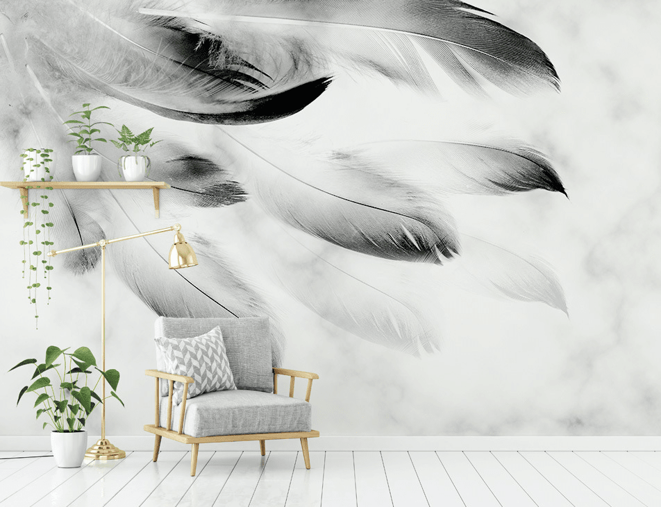 3D Black Feather WG295 Wall Murals Wallpaper AJ Wallpaper 2 