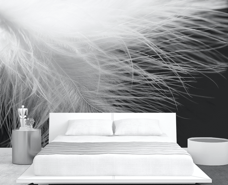 3D Soft Feather WG286 Wall Murals Wallpaper AJ Wallpaper 2 