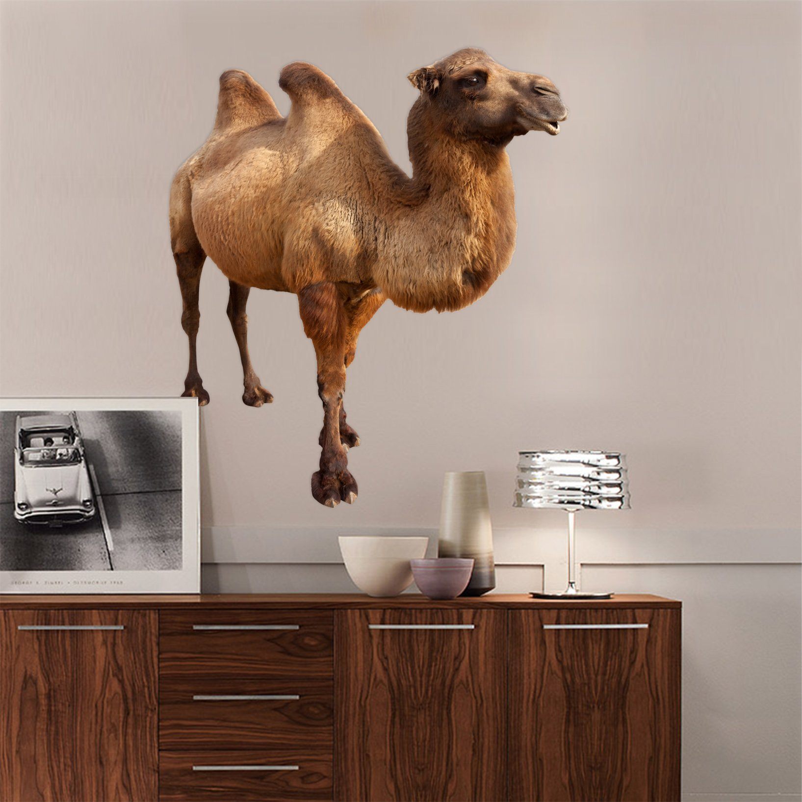 3D Camel 024 Animals Wall Stickers Wallpaper AJ Wallpaper 