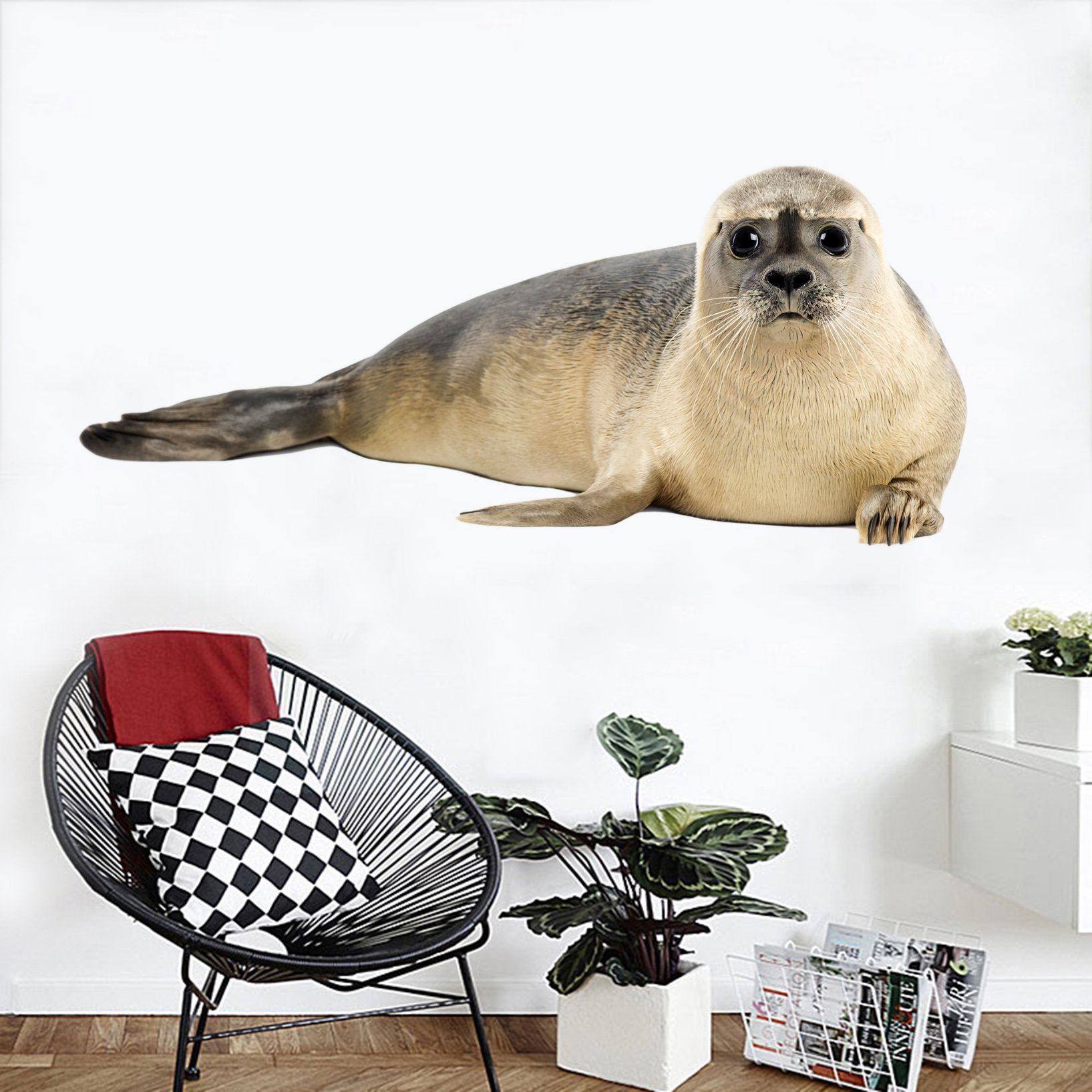 3D Lying Sea Lion 100 Animals Wall Stickers Wallpaper AJ Wallpaper 