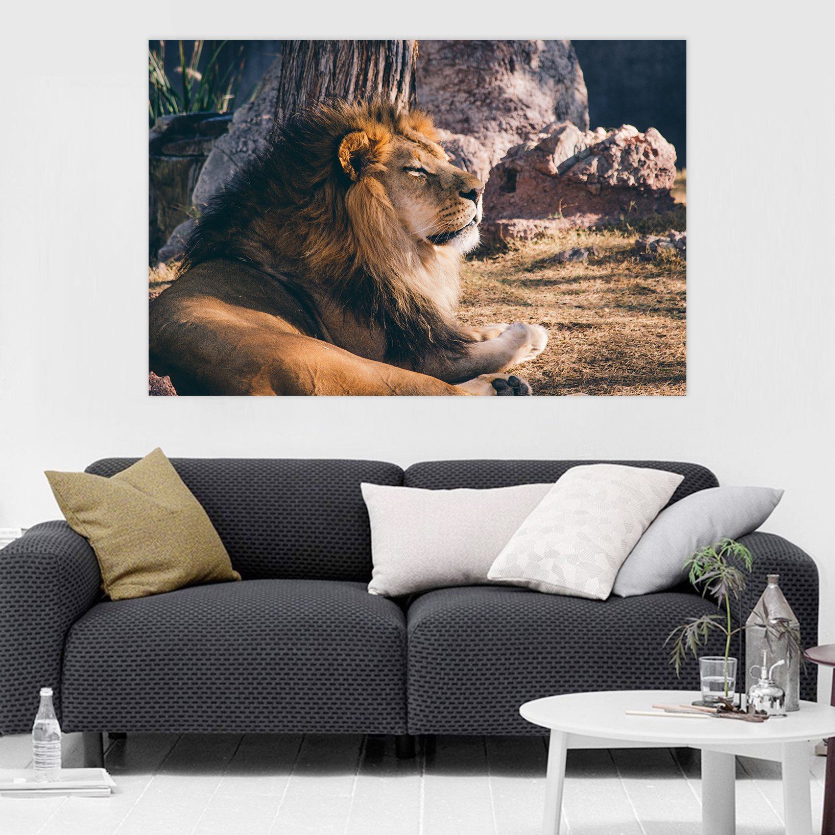 3D Lion 93 Animal Wall Stickers Wallpaper AJ Wallpaper 2 