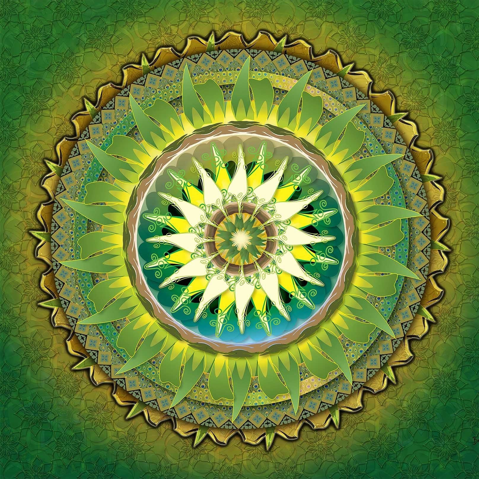 Beautiful Circular Pattern Wallpaper AJ Wallpaper 