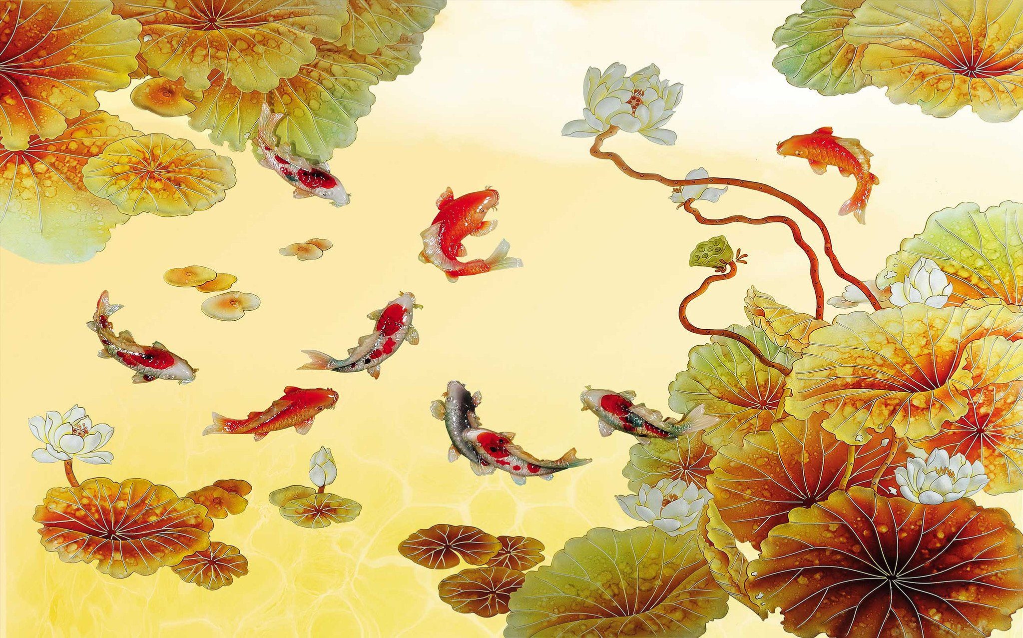 Fishes Lotus Wallpaper AJ Wallpaper 