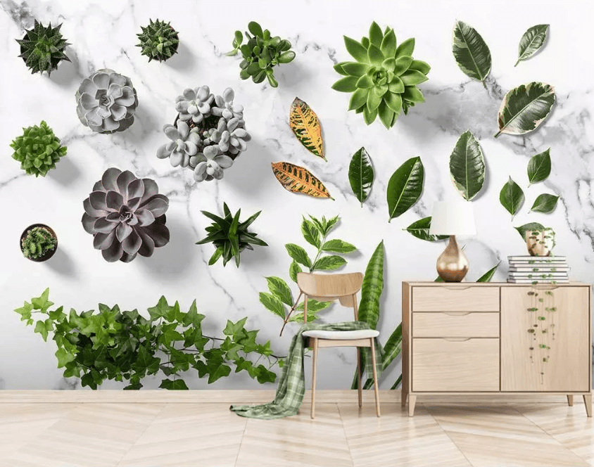 3D Succulents Plant 1545 Wallpaper AJ Wallpaper 2 