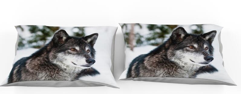 3D Wolf Snowfield 9907 Bed Pillowcases Quilt