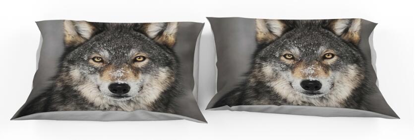 3D Wolf 9910 Bed Pillowcases Quilt