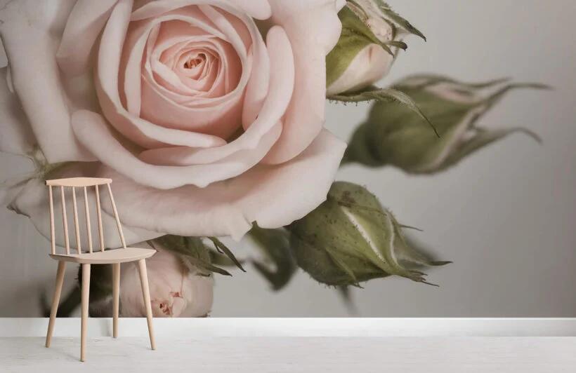 3D Pink Rose 398 Wall Murals